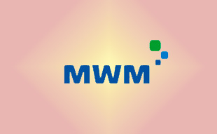 ✓ MWM 0403 3403 Запчасть MWM 